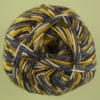 WYS - Signature 4 Ply - Country Birds - 818 Blue Tit